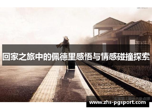 回家之旅中的佩德里感悟与情感碰撞探索